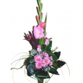 Gladiola s ru�ami
