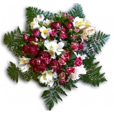 Z�le�� mi na tebe