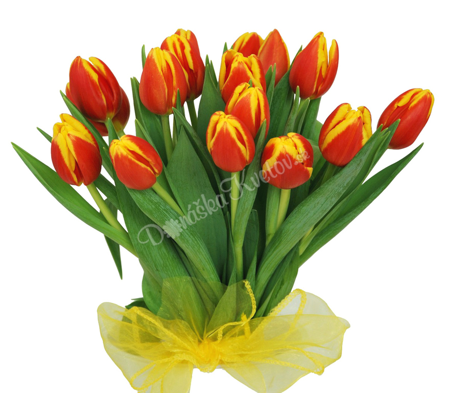 Donáška Kvetov - Kytica More tulipánov